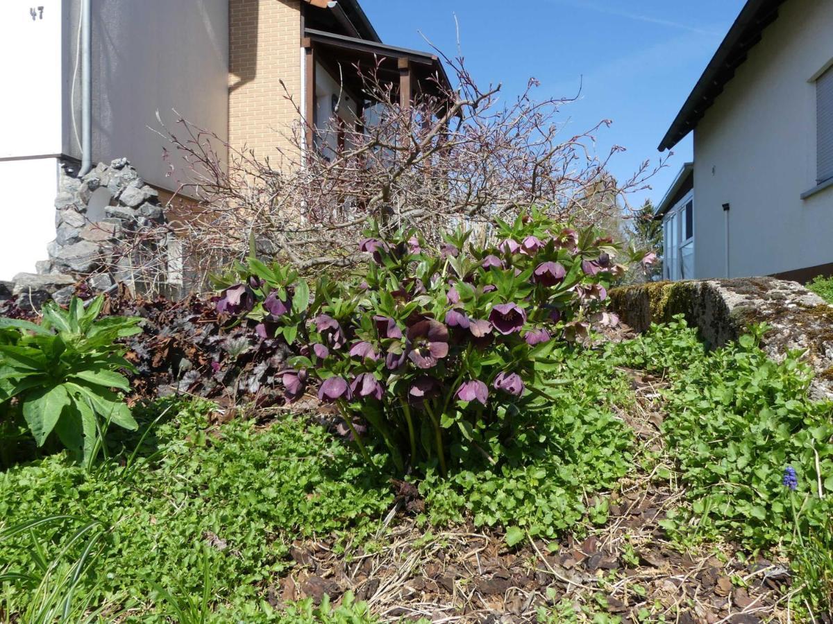 Ferienwohnung Schanbacher Oberzent Exterior photo